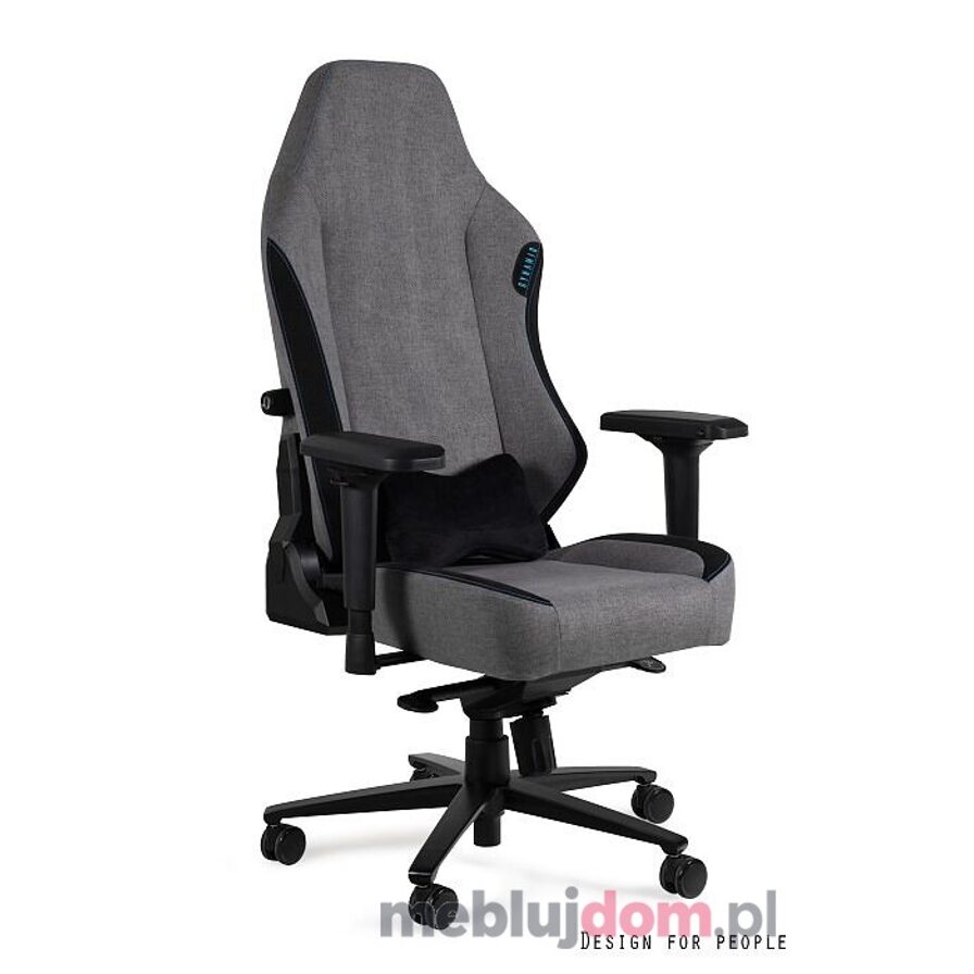 Fotel gamingowy DYNAMIQ V19 Unique szara tkanina