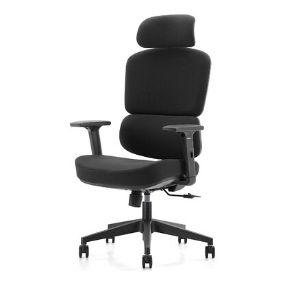 Fotel ergonomiczny REGULO