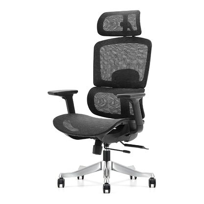 Fotel ergonomiczny OTUS