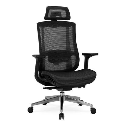 Fotel obrotowy ergonomiczny DYLAN
