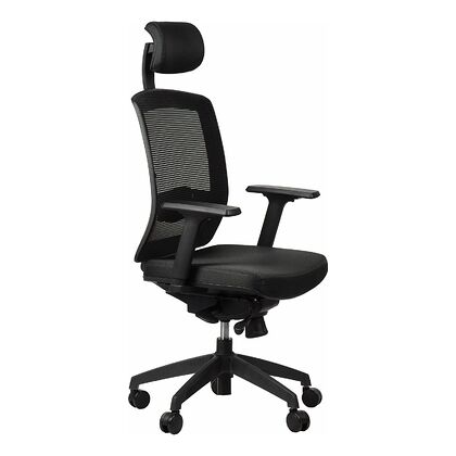 Fotel obrotowy ERGON Sitplus