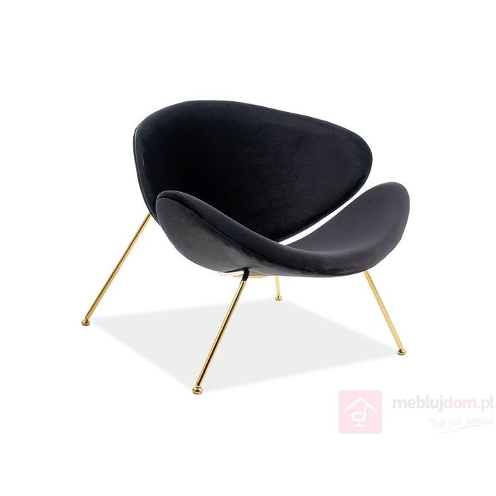Fotel MAJOR GOLD VELVET Signal Bluvel 19 czarny