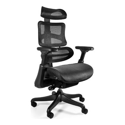 Fotel ergonomiczny ERGOTHRONE Unique