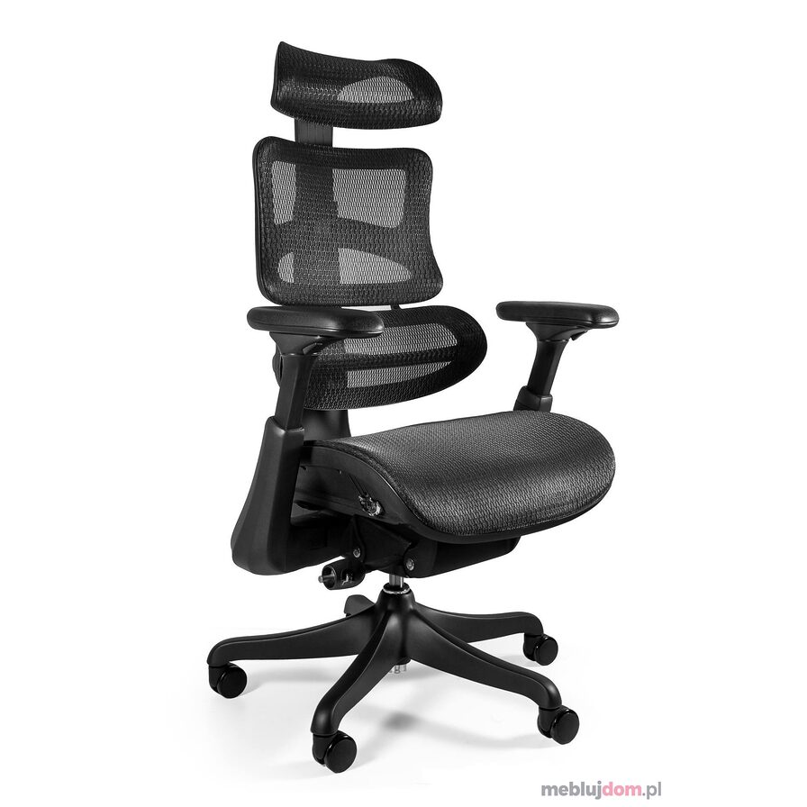Fotel ergonomiczny ERGOTHRONE Unique