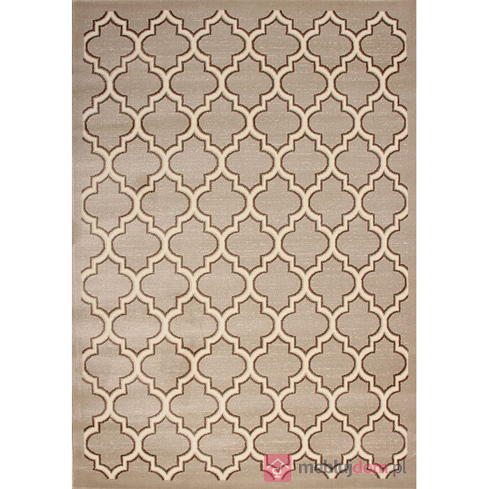 Dywan ROXY 8359B BEIGE Prostokąt Brązowo-Beżowy