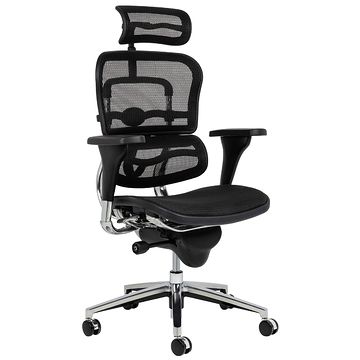Fotel ergonomiczny ERGOHUMAN
