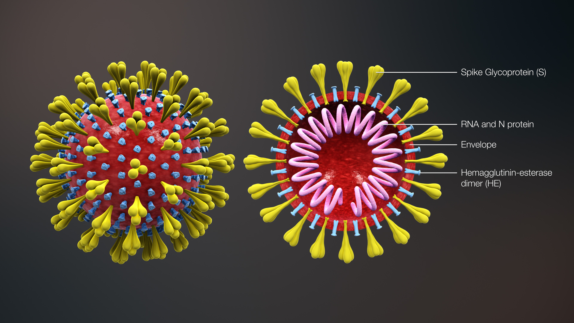 Koronavirus, a kwestia mebli importowanych z Chin, Malezji