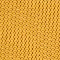 bl404 Honey