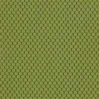 bl411 Olive